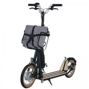 H10- 14inch Scooter Leictreach Folding Dúbailte